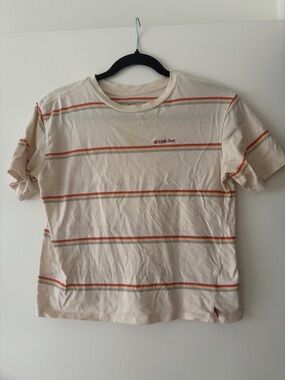 Cropped Dickies Cream T-Shirt with Orange and Sage Stripes